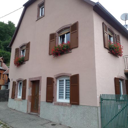 Cheznousenalsace Apartment Lautenbach Bagian luar foto